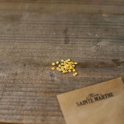Graines de poivron california orange wonder bio – La Ferme de Sainte Marthe