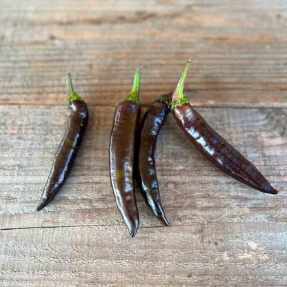 Graines de poivron murasaki purple bio – La Ferme de Sainte Marthe