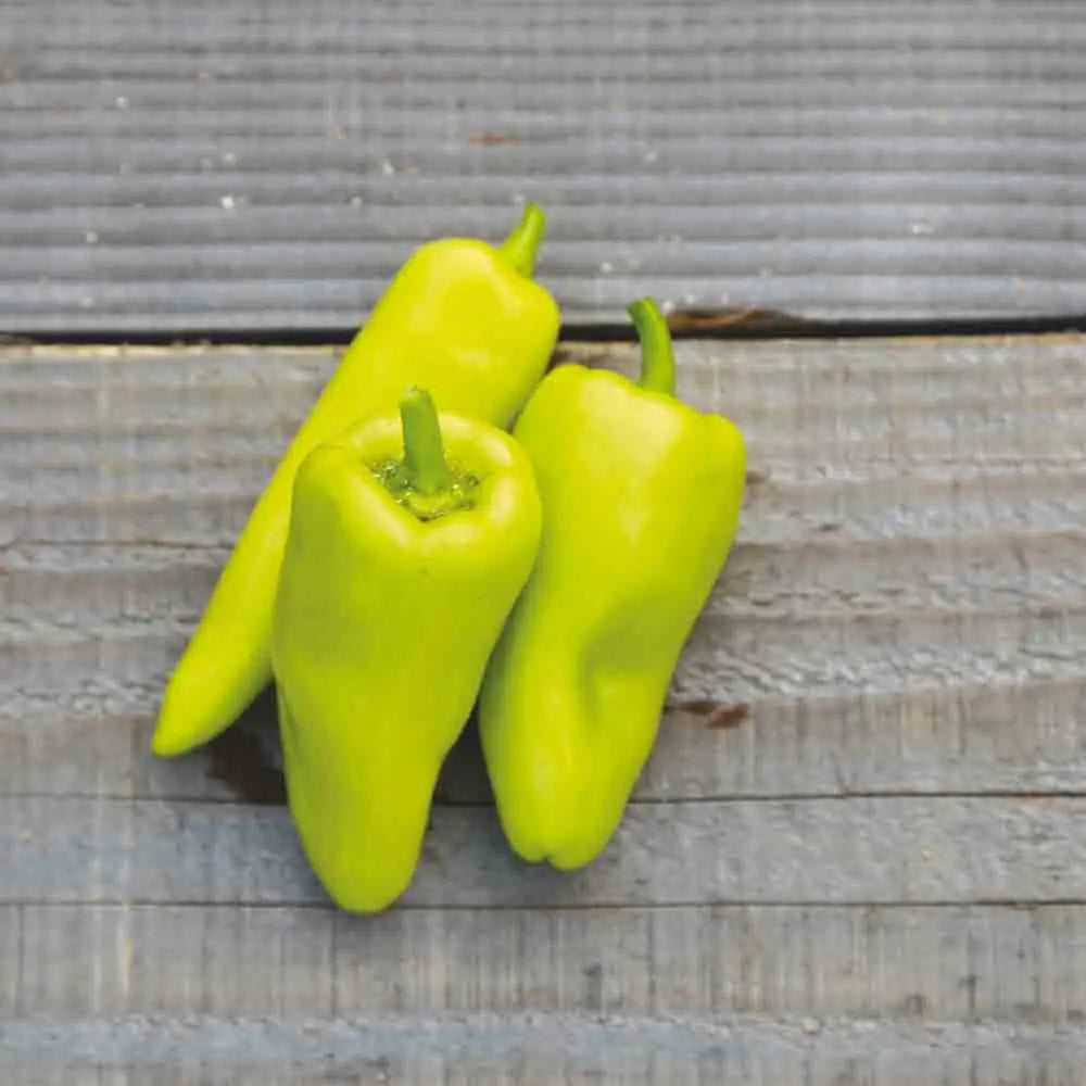 Graines de poivron sweet banana jaune clair bio – La Ferme de Sainte Marthe