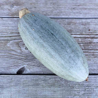 Graines de potiron banana blue bio – La Ferme de Sainte Marthe