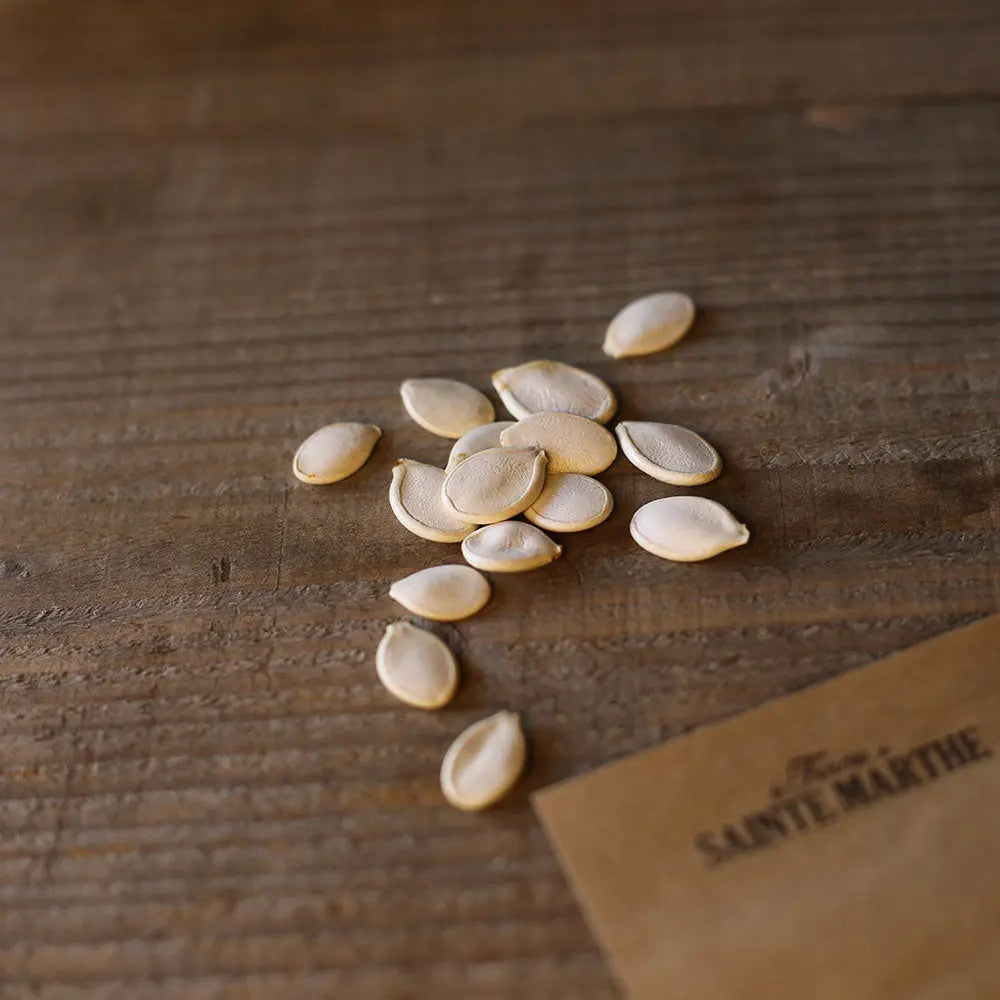 Graines de potiron bleu de hongrie bio – La Ferme de Sainte Marthe