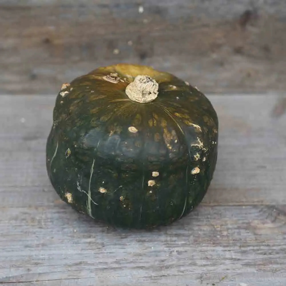 Graines de potiron buttercup bio – La Ferme de Sainte Marthe