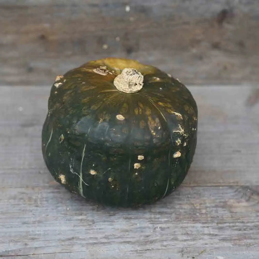 Graines de potiron buttercup bio – La Ferme de Sainte Marthe