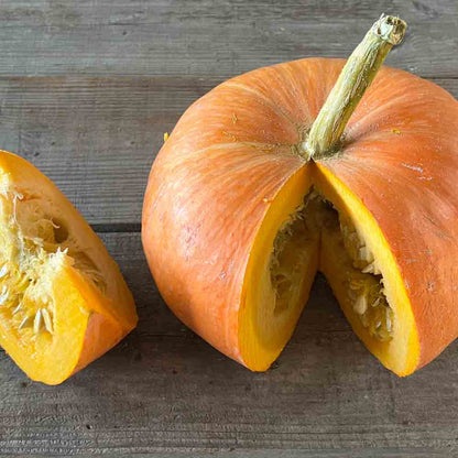 Graines de potiron quintal jaune ou jaune gros de paris bio – La Ferme de Sainte Marthe