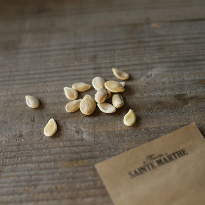 Graines de potiron vert olive bio – La Ferme de Sainte Marthe