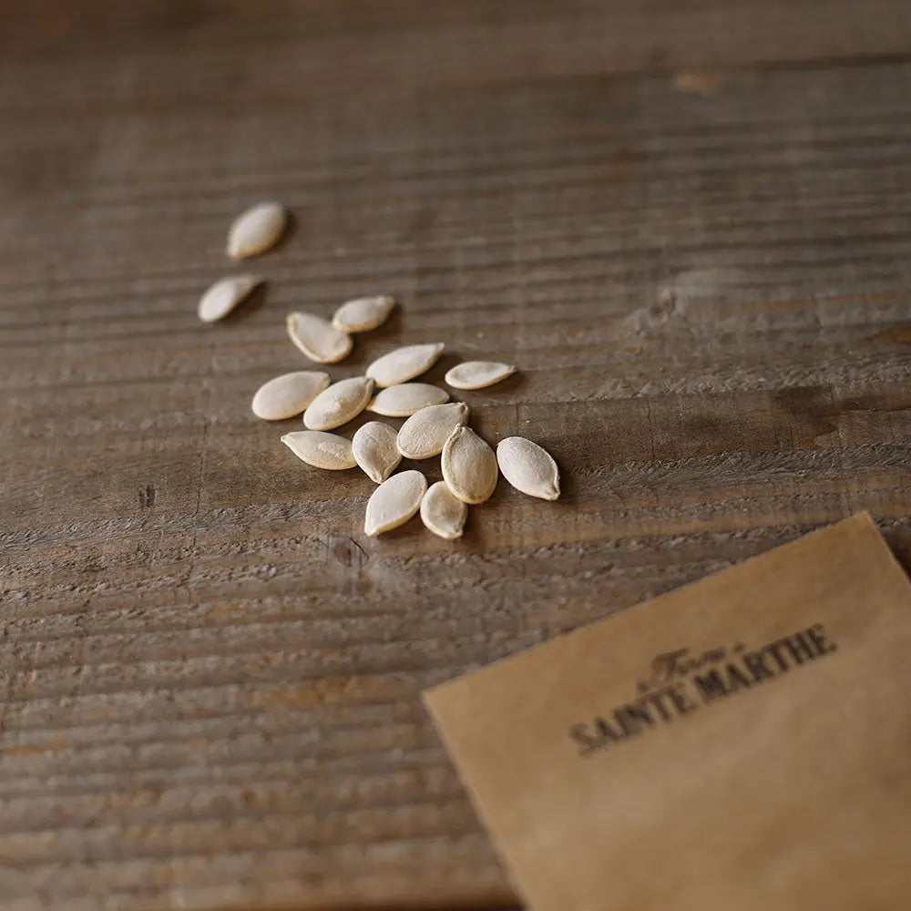 Graines de potiron zapalitto bio – La Ferme de Sainte Marthe