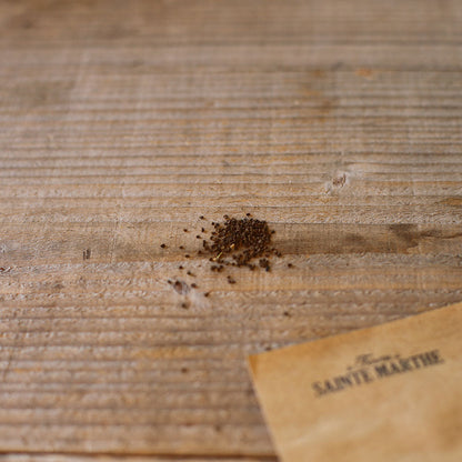 Graines de primevère officinale bio – La Ferme de Sainte Marthe