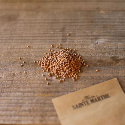 Graines de radis flamboyant 2 bio – La Ferme de Sainte Marthe