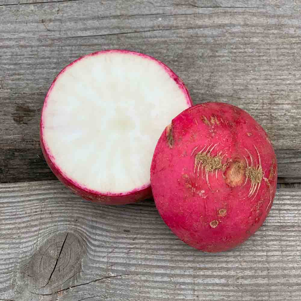 Graines de radis misato red bio – La Ferme de Sainte Marthe