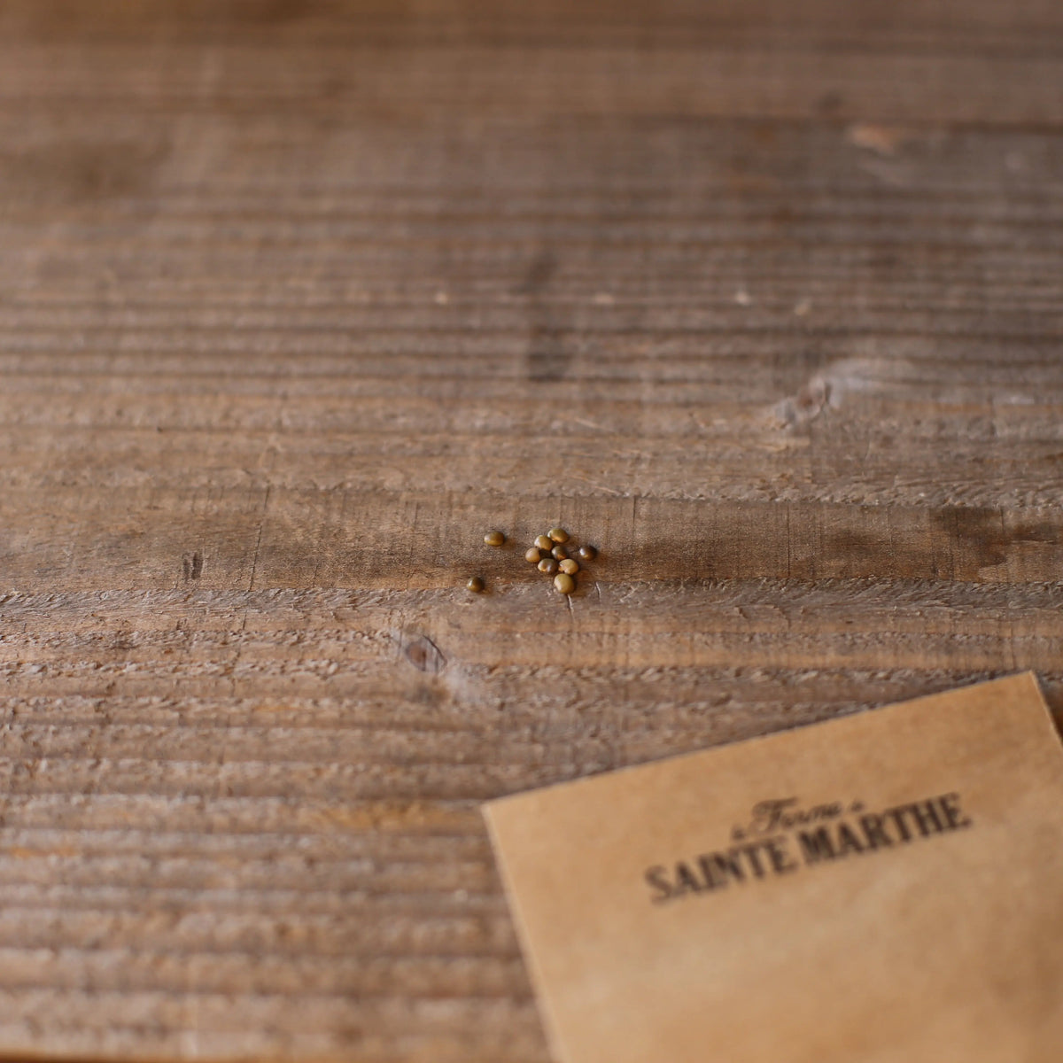 Graines de réglisse bio – La Ferme de Sainte Marthe