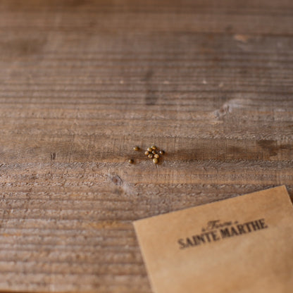 Graines de réglisse bio – La Ferme de Sainte Marthe