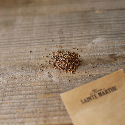Graines de roquette cultivée bio – La Ferme de Sainte Marthe