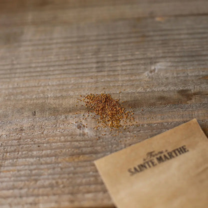 Graines de roquette sauvage bio – La Ferme de Sainte Marthe