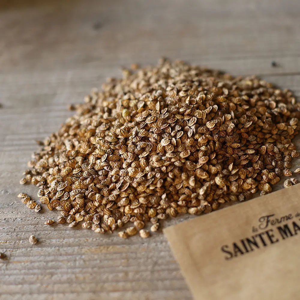 Graines de sainfoin bio – La Ferme de Sainte Marthe