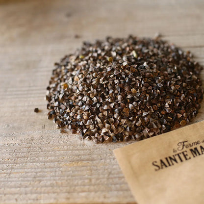 Graines de sarrasin bio – La Ferme de Sainte Marthe