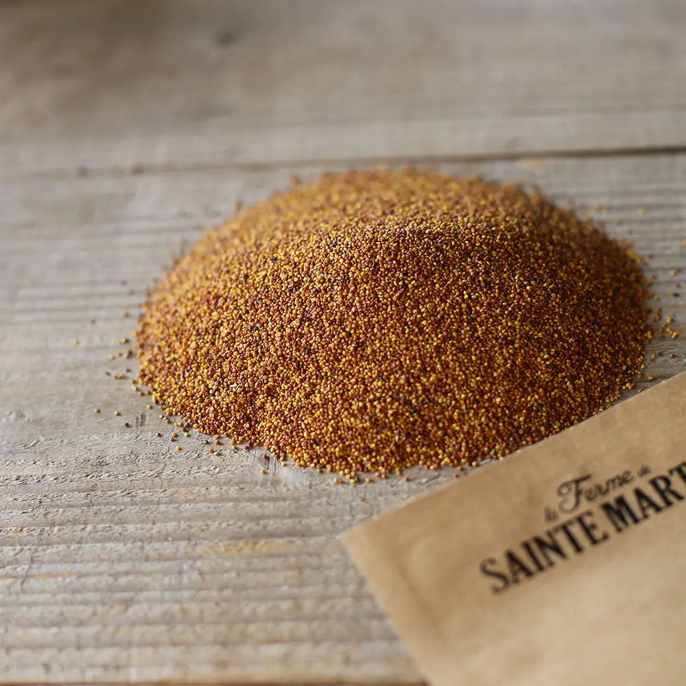 Graines de serradelle bio – La Ferme de Sainte Marthe