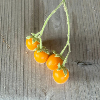Graines de tamarillo nain bio – La Ferme de Sainte Marthe