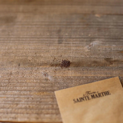 Graines de thym faux pouliot bio – La Ferme de Sainte Marthe
