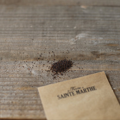 Graines de thym bio – La Ferme de Sainte Marthe