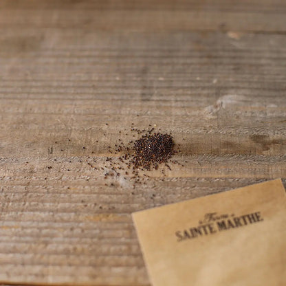 Graines de thym serpolet bio – La Ferme de Sainte Marthe