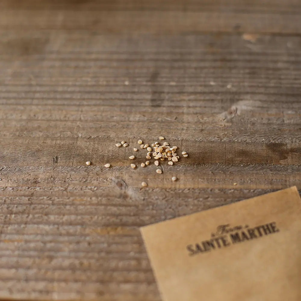 Graines de tomate ananas (pineapple) bio – La Ferme de Sainte Marthe