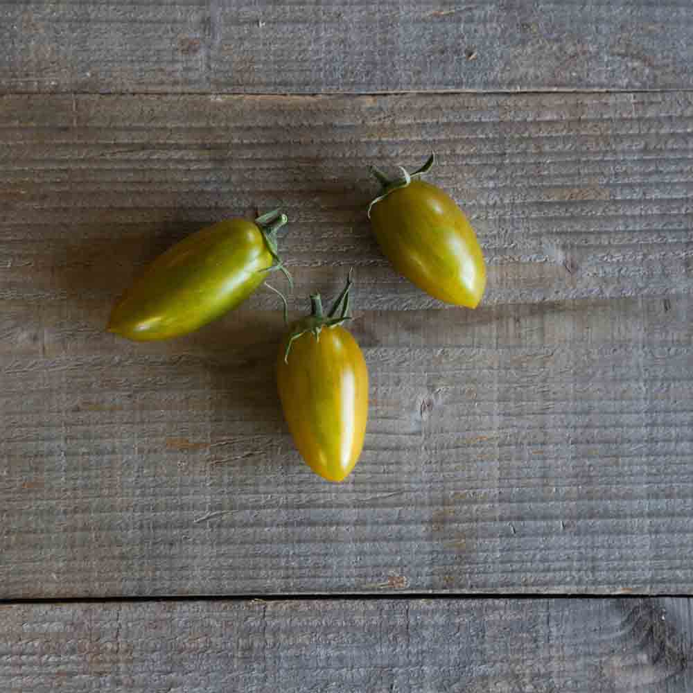Graines de tomate artisan green tiger bio – La Ferme de Sainte Marthe