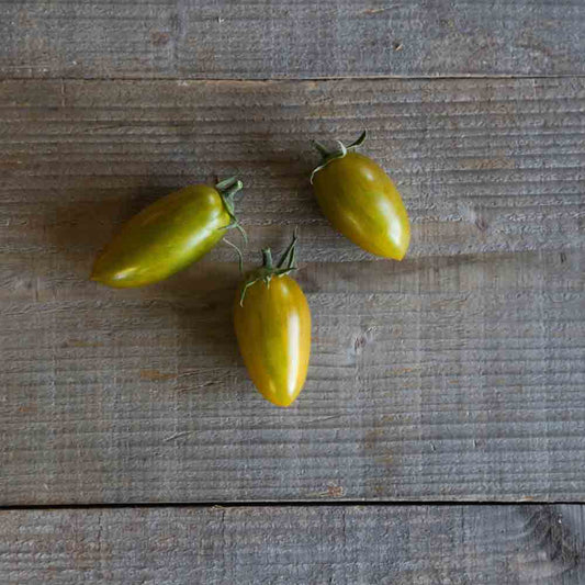 Graines de tomate artisan green tiger bio – La Ferme de Sainte Marthe