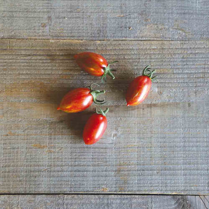 Graines de tomate artisan pink tiger bio – La Ferme de Sainte Marthe
