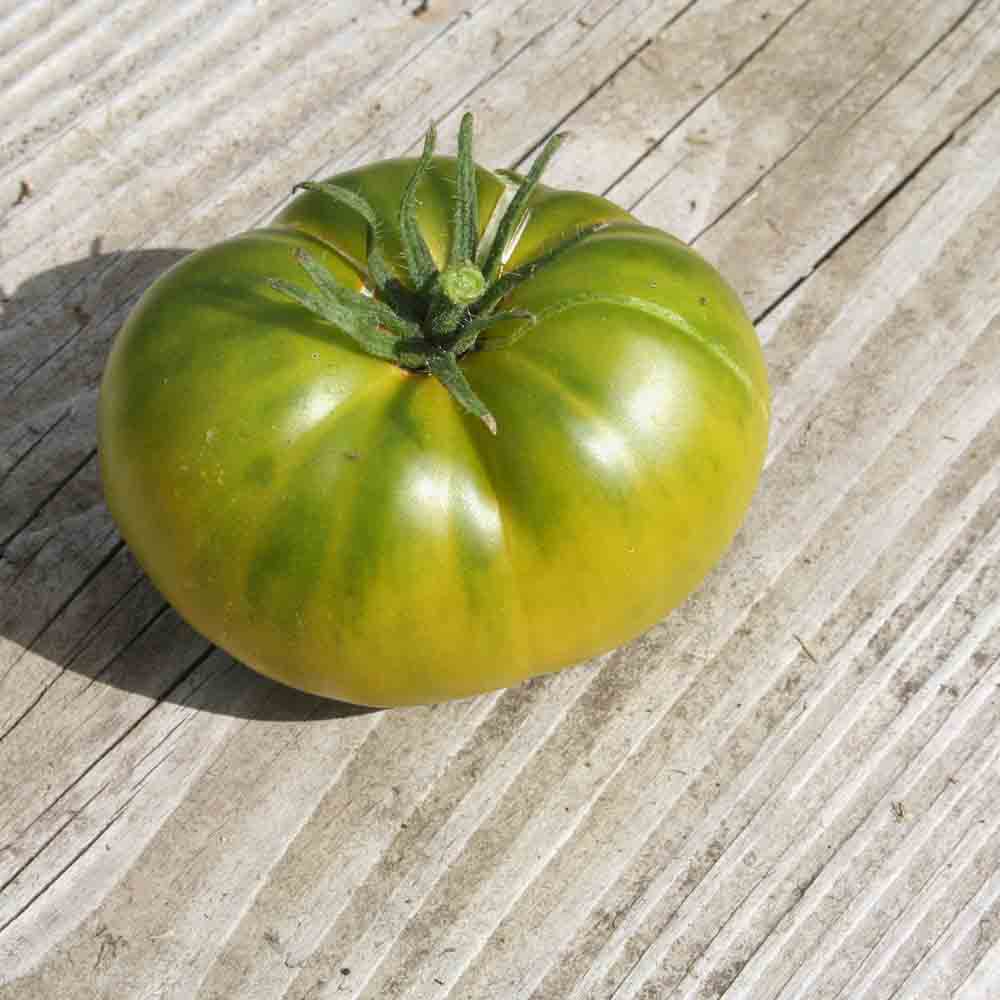 Graines de tomate aunt ruby's german green bio – La Ferme de Sainte Marthe