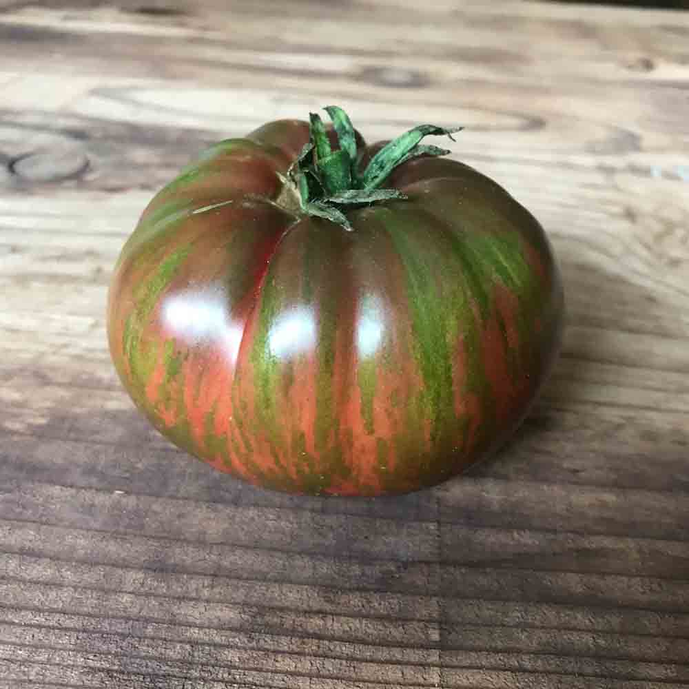 Graines de tomate berkeley tye dye pink bio – La Ferme de Sainte Marthe