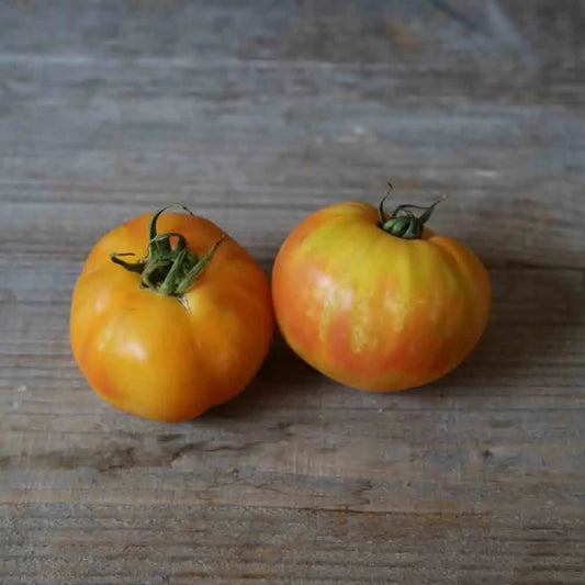 Graines de tomate big rainbow bio – La Ferme de Sainte Marthe