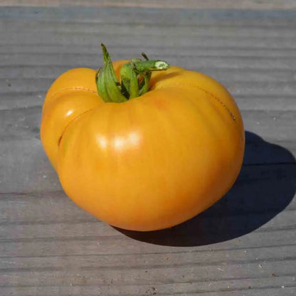 Graines de tomate big white pink stripes bio – La Ferme de Sainte Marthe