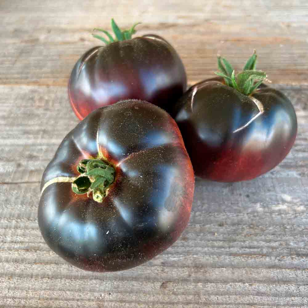 Graines de tomate black beauty bio – La Ferme de Sainte Marthe