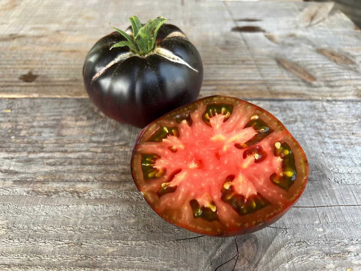 Graines de tomate black beauty bio – La Ferme de Sainte Marthe