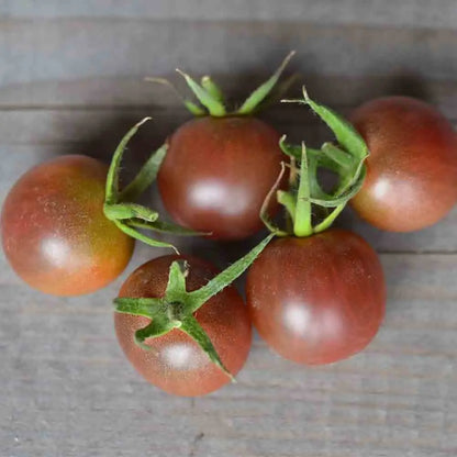 Graines de tomate black cherry bio – La Ferme de Sainte Marthe