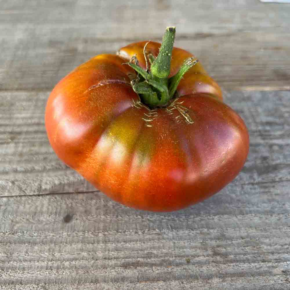 Graines de tomate black from tula bio – La Ferme de Sainte Marthe