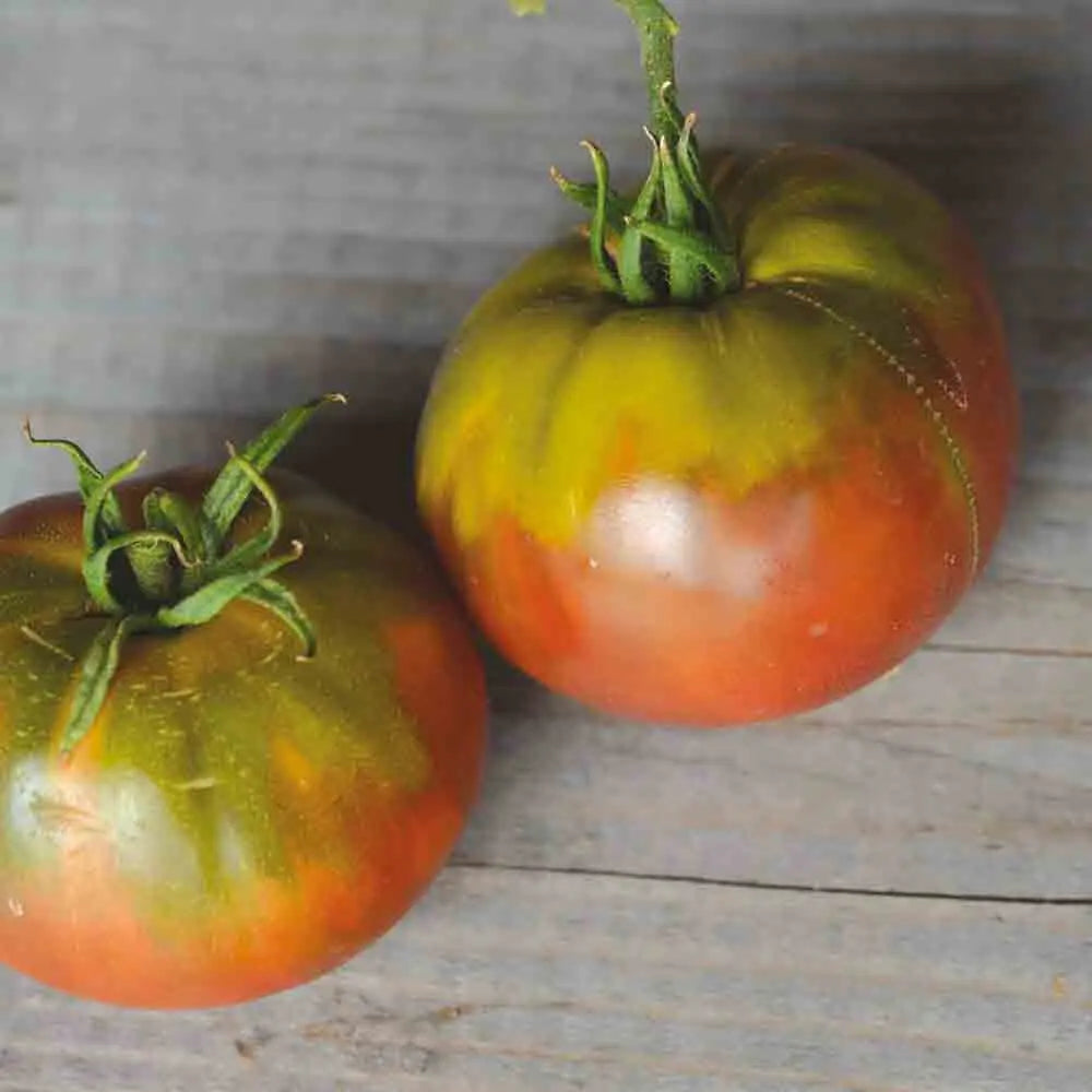 Graines de tomate black sea man bio – La Ferme de Sainte Marthe