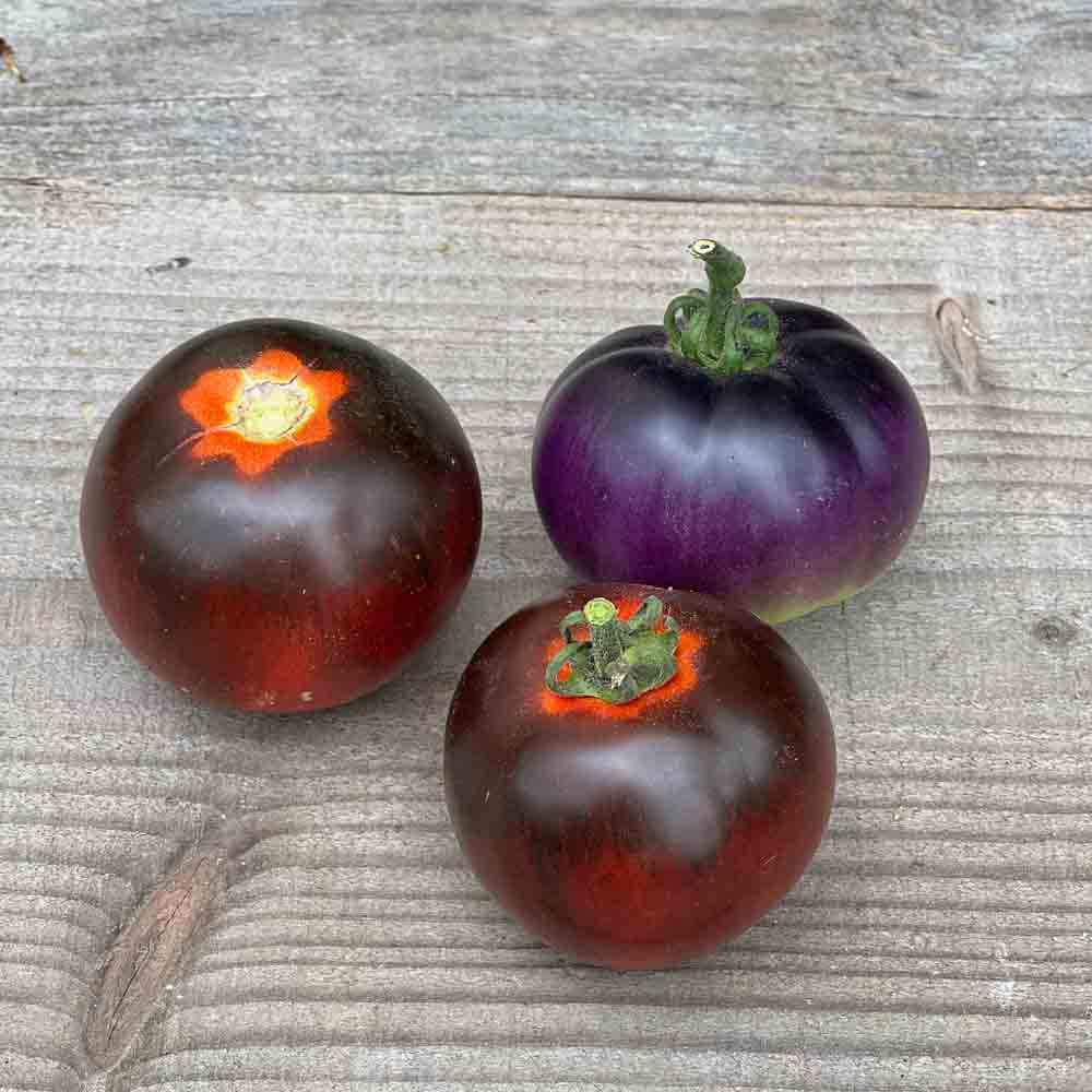 Graines de tomate bleue p20 ou osu blue p20 bio – La Ferme de Sainte Marthe