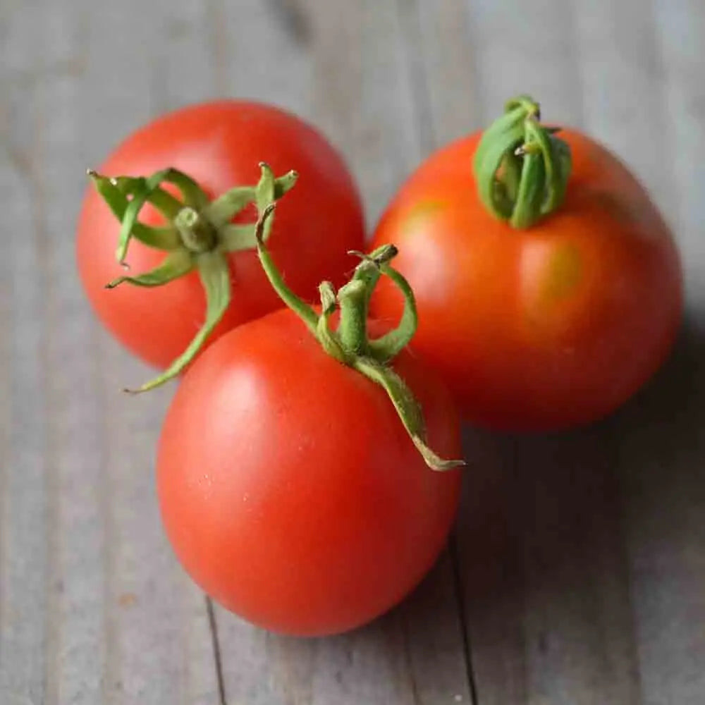 Graines de tomate bloody butcher bio – La Ferme de Sainte Marthe