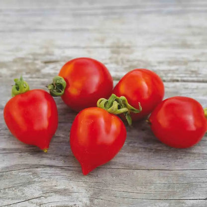 Graines de tomate borgo celano – La Ferme de Sainte Marthe
