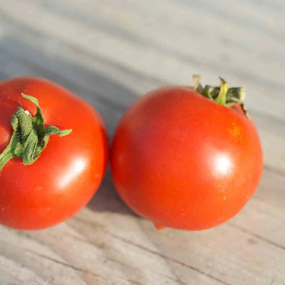 Graines de tomate budai torpe bio – La Ferme de Sainte Marthe