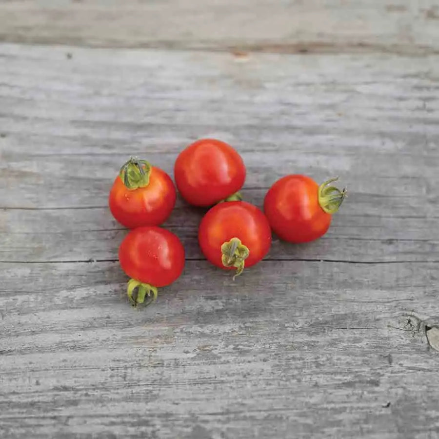 Tomate cerise