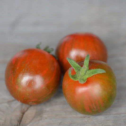 Graines de tomate cherry black zebra bio – La Ferme de Sainte Marthe