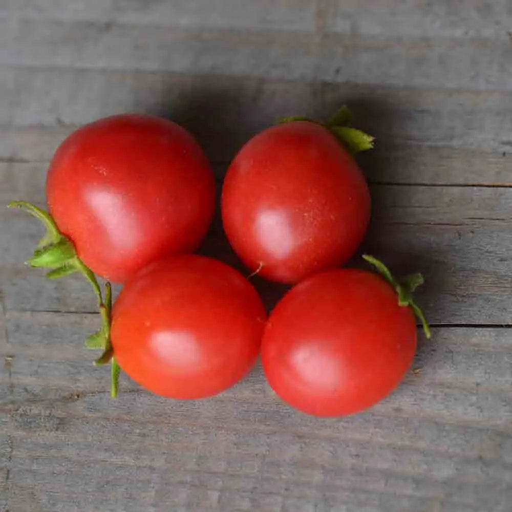 Graines de tomate ditmarscher suspension rose bio – La Ferme de Sainte Marthe