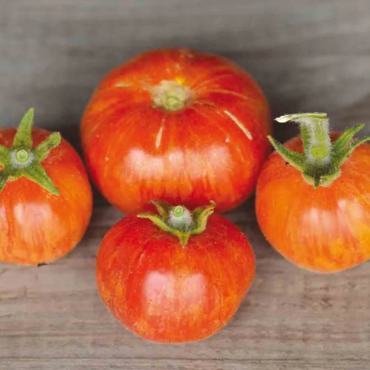 Graines de tomate elberta peach bio – La Ferme de Sainte Marthe
