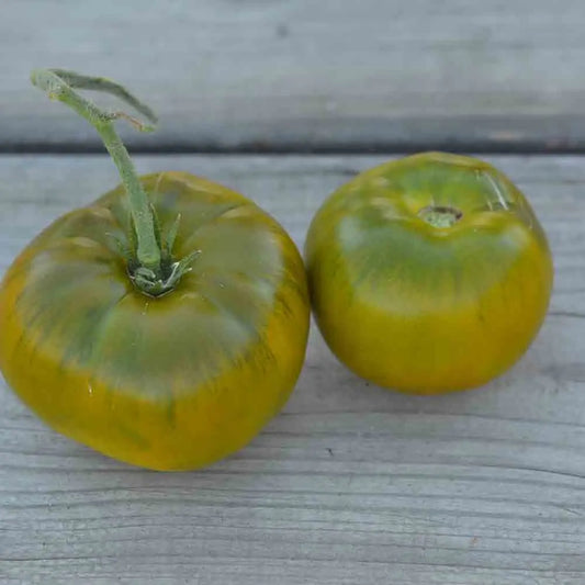 Graines de tomate emerald evergreen bio – La Ferme de Sainte Marthe