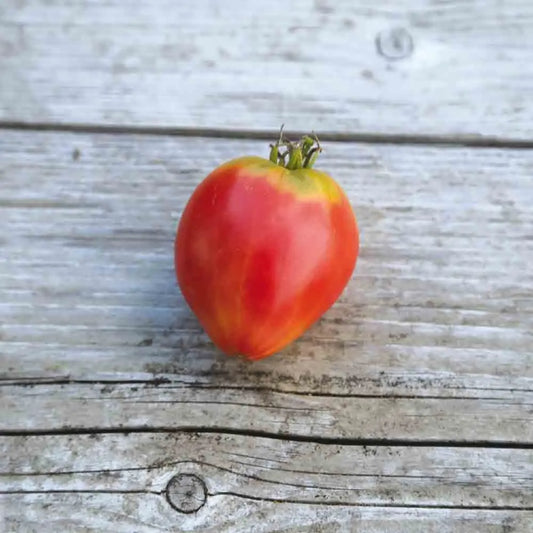 Graines de tomate german red strawberry bio – La Ferme de Sainte Marthe