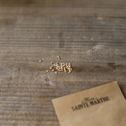 Graines de tomate grappoli d'inverno bio – La Ferme de Sainte Marthe