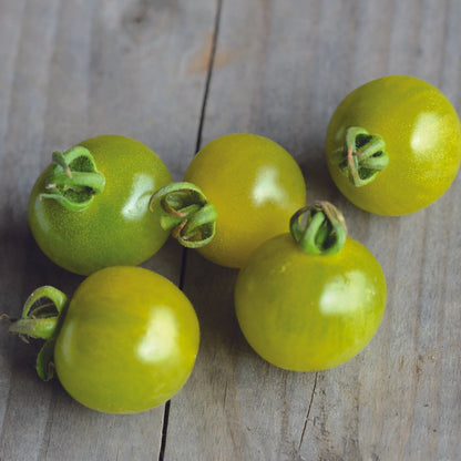 Graines de tomate green doctor's frosted bio – La Ferme de Sainte Marthe