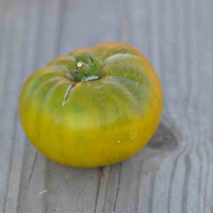 Graines de tomate green moldovan bio – La Ferme de Sainte Marthe